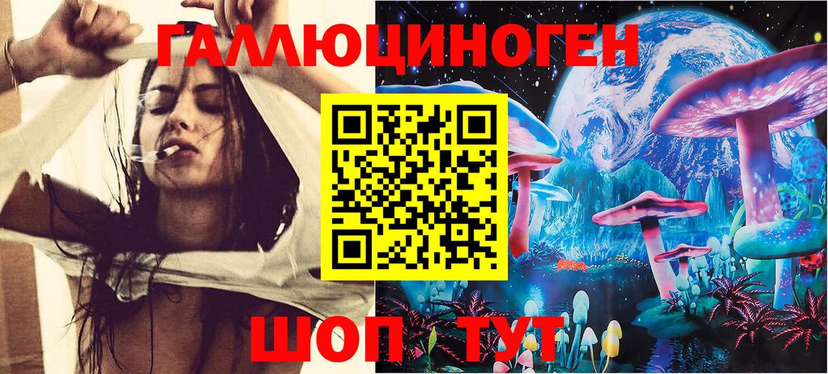 Мурманск  Псилоцибиновые грибы Psilocybe  Вход с VPN  Псилоцибиновые грибы GOLDEN TEACHER 