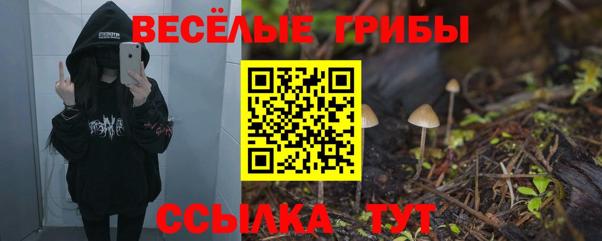 Псилоцибиновые грибы мухоморы Мурманск